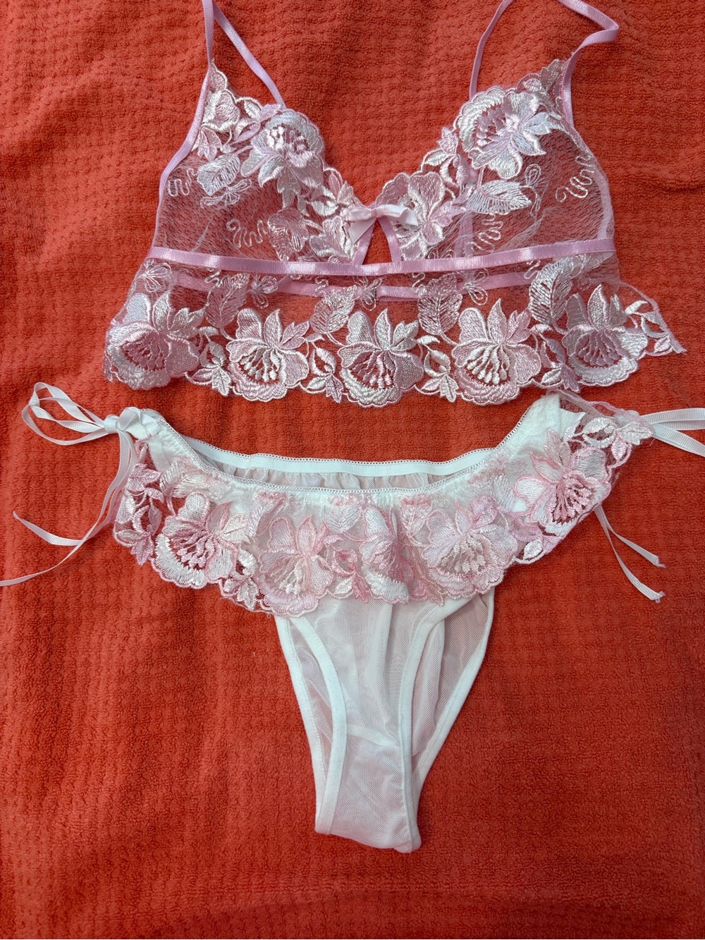 Romantic Rose Embroidered Mesh Floral Lace Bra and Panty Set with Bow Decoration